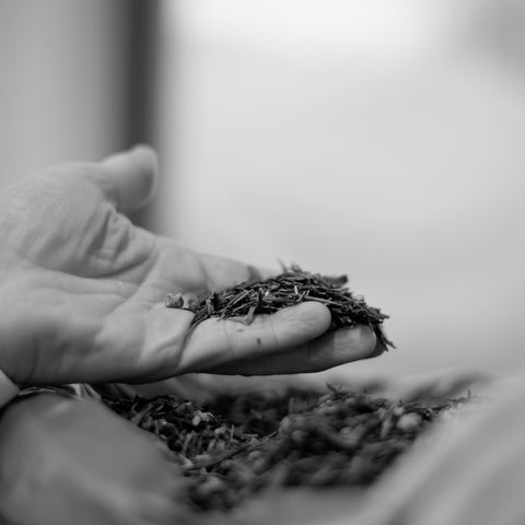 Une Passion pour le Thé d'exception